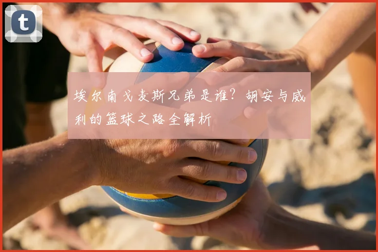 埃尔南戈麦斯兄弟是谁？胡安与威利的篮球之路全解析