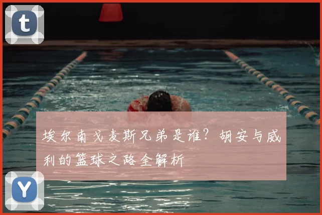 埃尔南戈麦斯兄弟是谁？胡安与威利的篮球之路全解析